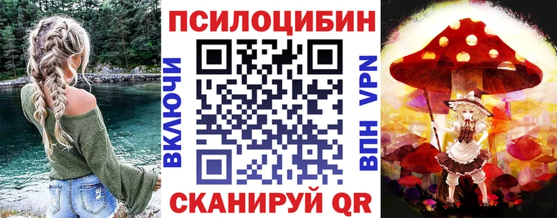 сколько стоит  Заводоуковск  Галлюциногенные грибы MAGIC MUSHROOMS 